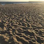Oporto * Matosinhos (Porto)