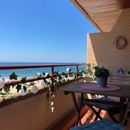 Oporto Matosinhos (Porto)