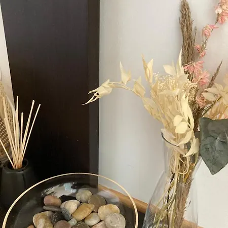 Apartamento Oporto *