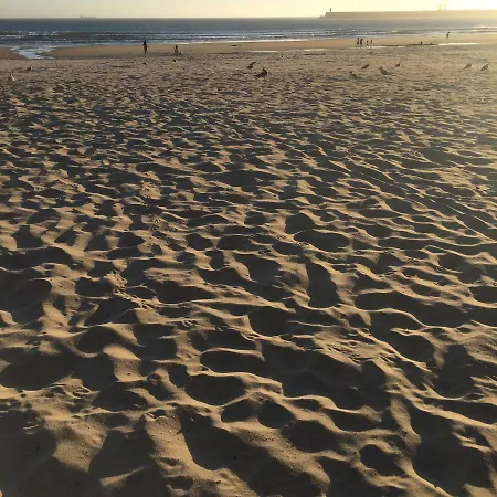 Oporto * Matosinhos (Porto)