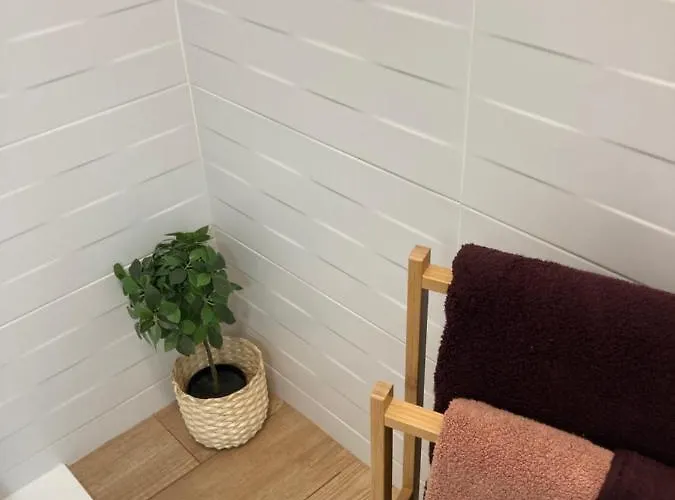 Oporto * 马托西纽什